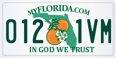 FL license plate 0121VM
