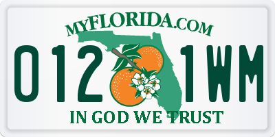 FL license plate 0121WM