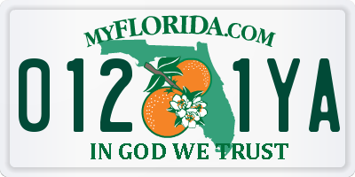 FL license plate 0121YA