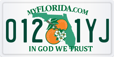FL license plate 0121YJ
