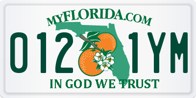FL license plate 0121YM
