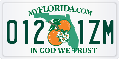 FL license plate 0121ZM