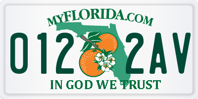 FL license plate 0122AV