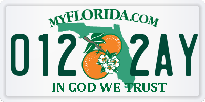 FL license plate 0122AY