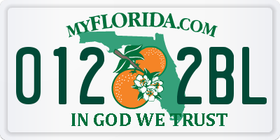 FL license plate 0122BL
