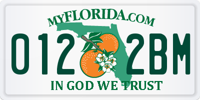 FL license plate 0122BM