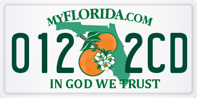 FL license plate 0122CD