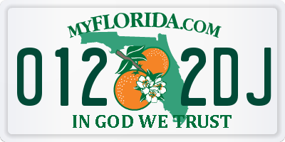 FL license plate 0122DJ