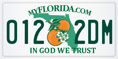 FL license plate 0122DM