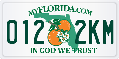 FL license plate 0122KM