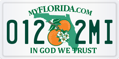 FL license plate 0122MI