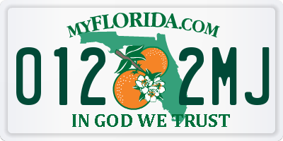 FL license plate 0122MJ