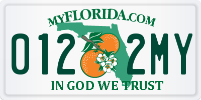 FL license plate 0122MY