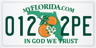 FL license plate 0122PE