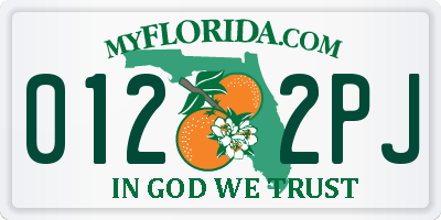 FL license plate 0122PJ
