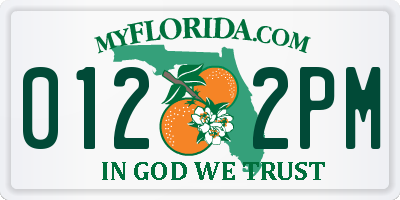 FL license plate 0122PM