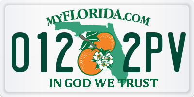 FL license plate 0122PV