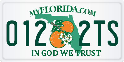 FL license plate 0122TS