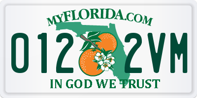 FL license plate 0122VM