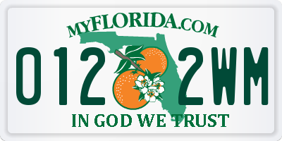 FL license plate 0122WM