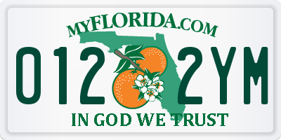 FL license plate 0122YM
