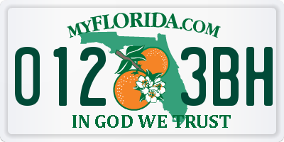 FL license plate 0123BH