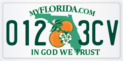 FL license plate 0123CV