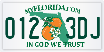 FL license plate 0123DJ