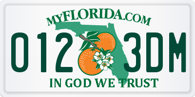 FL license plate 0123DM