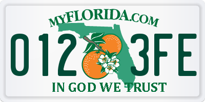 FL license plate 0123FE