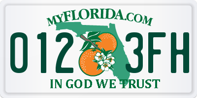FL license plate 0123FH