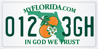 FL license plate 0123GH