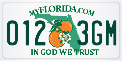 FL license plate 0123GM