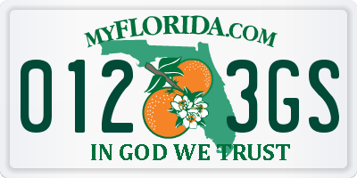 FL license plate 0123GS