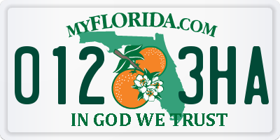 FL license plate 0123HA