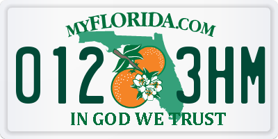 FL license plate 0123HM
