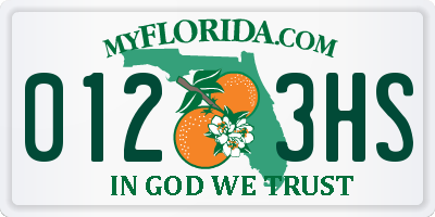 FL license plate 0123HS