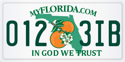 FL license plate 0123IB