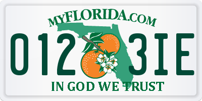 FL license plate 0123IE