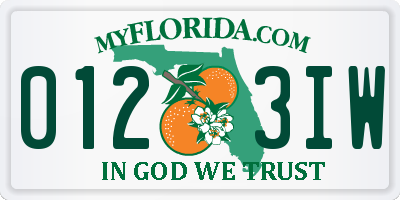 FL license plate 0123IW