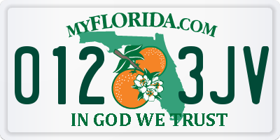 FL license plate 0123JV