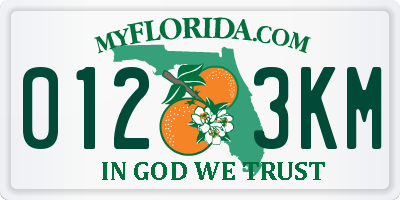 FL license plate 0123KM