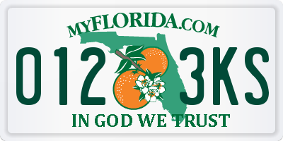 FL license plate 0123KS
