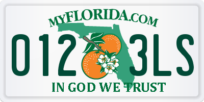 FL license plate 0123LS
