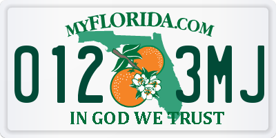 FL license plate 0123MJ