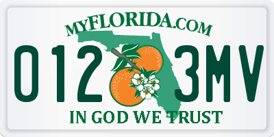 FL license plate 0123MV