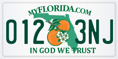 FL license plate 0123NJ