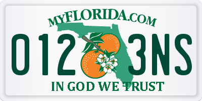 FL license plate 0123NS