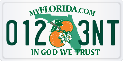 FL license plate 0123NT