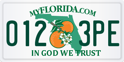 FL license plate 0123PE